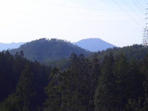 泉水峠付近から見た金尾松山