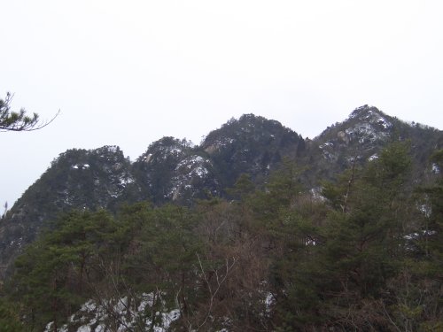 子負岩分岐から小負岩へ至る稜線から見た三倉岳